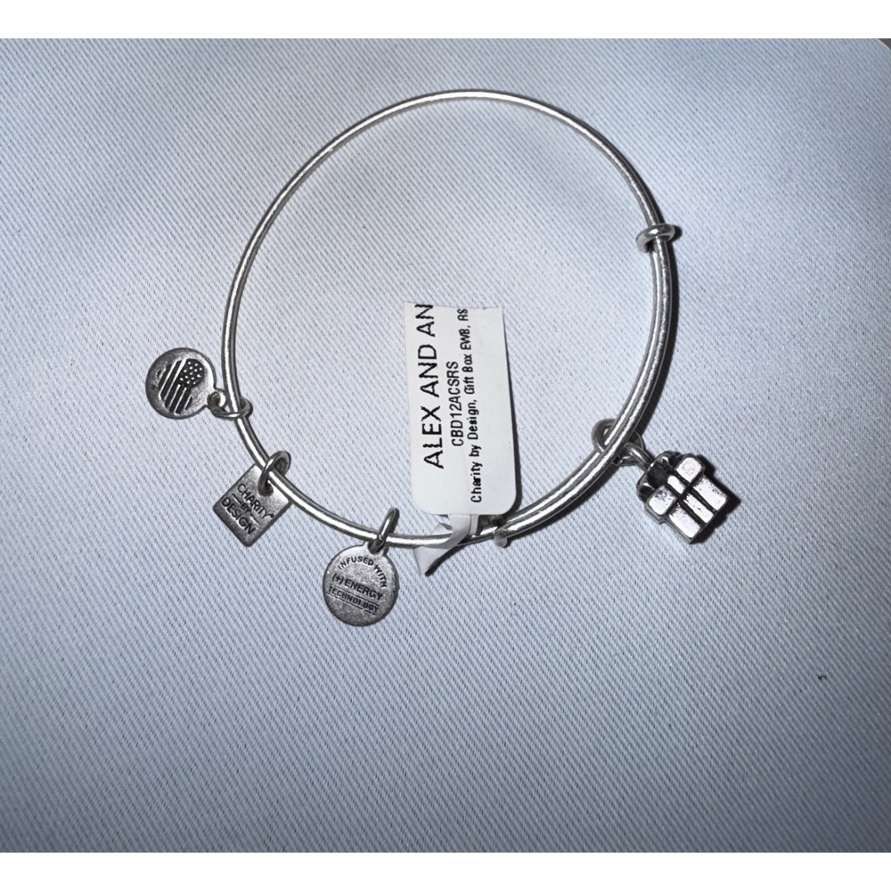 Alex and Ani Charity by Design Present Charm Bangle Silver CBD12ACSRS NWT